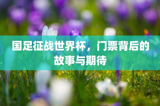 国足征战世界杯，门票背后的故事与期待