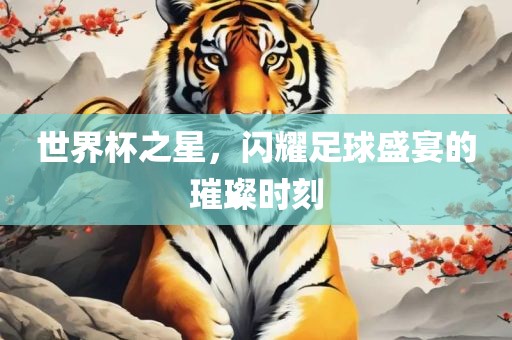 世界杯之星，闪耀足球盛宴的璀璨时刻