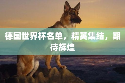 德国世界杯名单，精英集结，期待辉煌