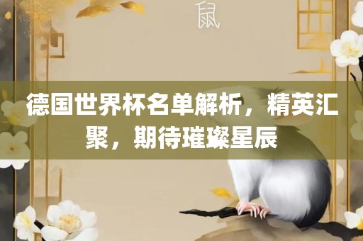 德国世界杯名单解析，精英汇聚，期待璀璨星辰