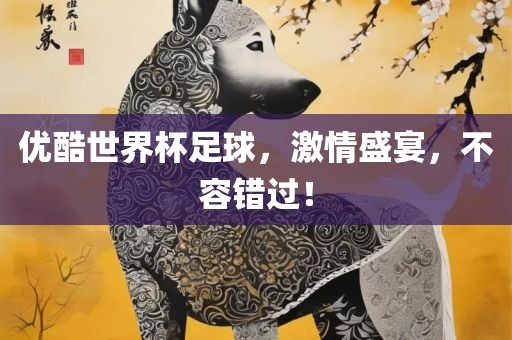 优酷世界杯足球，激情盛宴，不容错过！