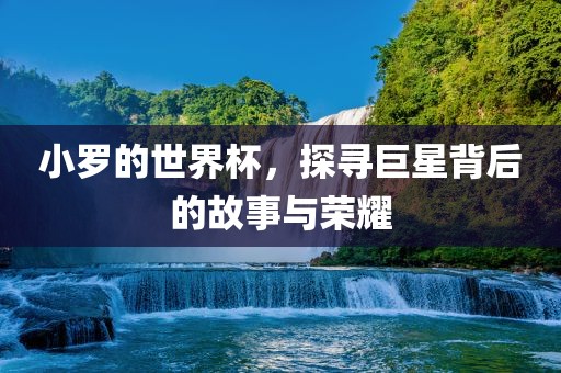 小罗的世界杯，探寻巨星背后的故事与荣耀
