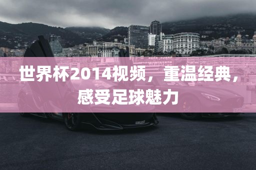 世界杯2014视频，重温经典，感受足球魅力