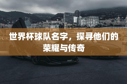 世界杯球队名字，探寻他们的荣耀与传奇