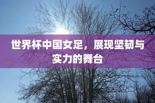 世界杯中国女足，展现坚韧与实力的舞台