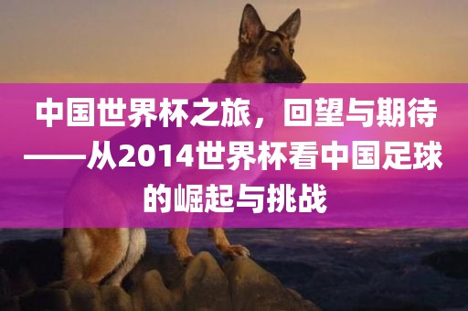 中国世界杯之旅，回望与期待——从2014世界杯看中国足球的崛起与挑战