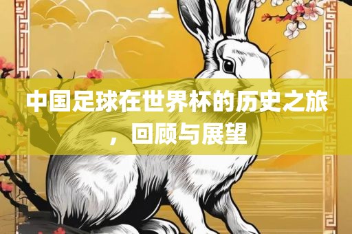 中国足球在世界杯的历史之旅，回顾与展望