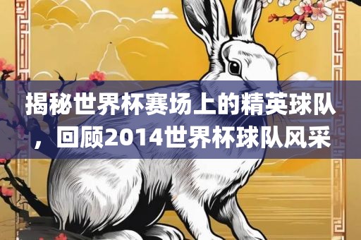 揭秘世界杯赛场上的精英球队，回顾2014世界杯球队风采