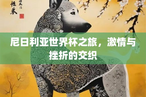尼日利亚世界杯之旅，激情与挫折的交织