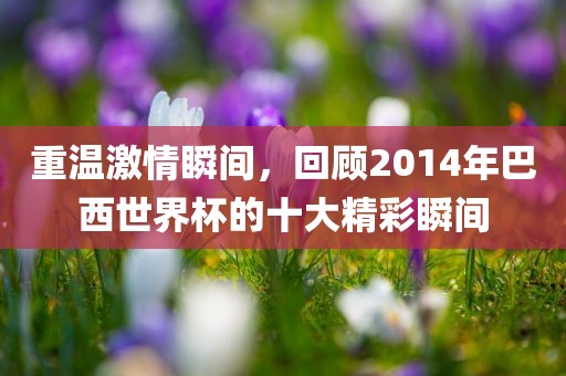 重温激情瞬间，回顾2014年巴西世界杯的十大精彩瞬间