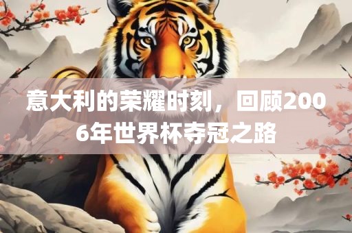 意大利的荣耀时刻，回顾2006年世界杯夺冠之路
