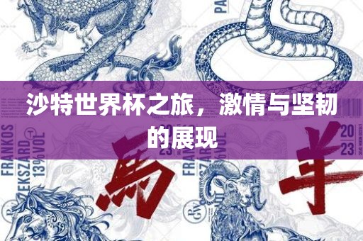 沙特世界杯之旅，激情与坚韧的展现