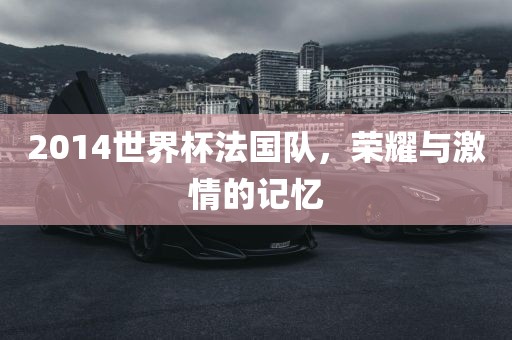 2014世界杯法国队，荣耀与激情的记忆