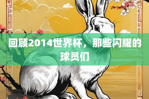 回顾2014世界杯，那些闪耀的球员们