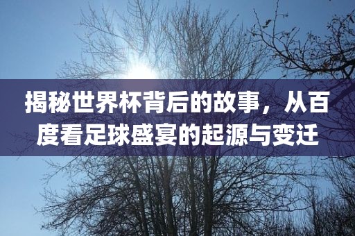 揭秘世界杯背后的故事，从百度看足球盛宴的起源与变迁