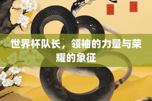 世界杯队长，领袖的力量与荣耀的象征
