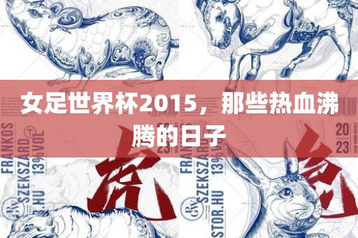 女足世界杯2015，那些热血沸腾的日子
