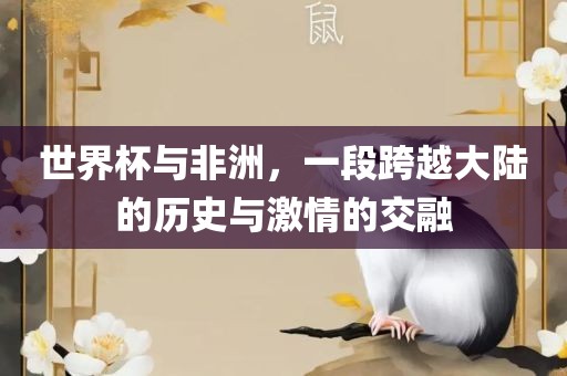 世界杯与非洲，一段跨越大陆的历史与激情的交融
