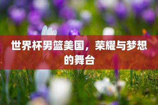 世界杯男篮美国，荣耀与梦想的舞台