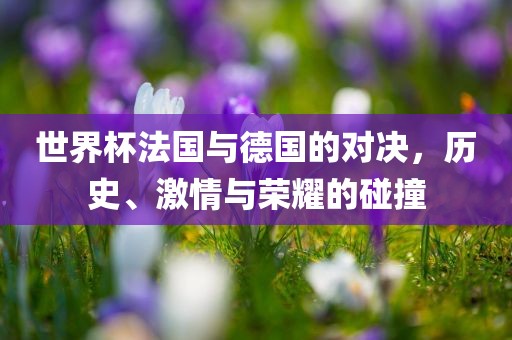 世界杯法国与德国的对决，历史、激情与荣耀的碰撞