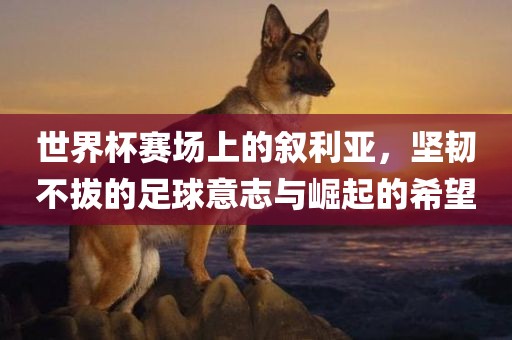 世界杯赛场上的叙利亚，坚韧不拔的足球意志与崛起的希望
