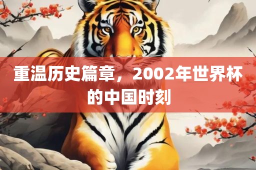重温历史篇章，2002年世界杯的中国时刻