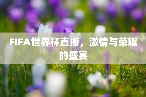 FIFA世界杯直播，激情与荣耀的盛宴