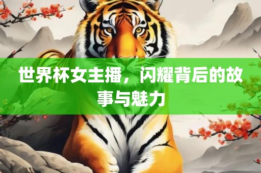 世界杯女主播，闪耀背后的故事与魅力