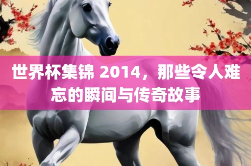 世界杯集锦 2014，那些令人难忘的瞬间与传奇故事