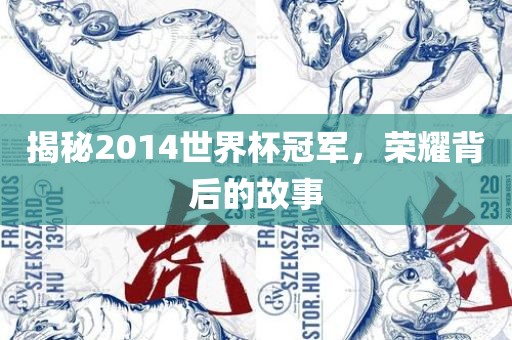 揭秘2014世界杯冠军，荣耀背后的故事