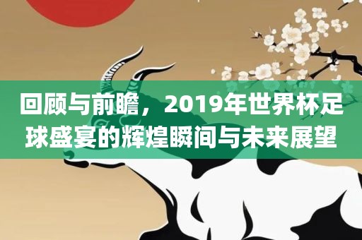 回顾与前瞻，2019年世界杯足球盛宴的辉煌瞬间与未来展望