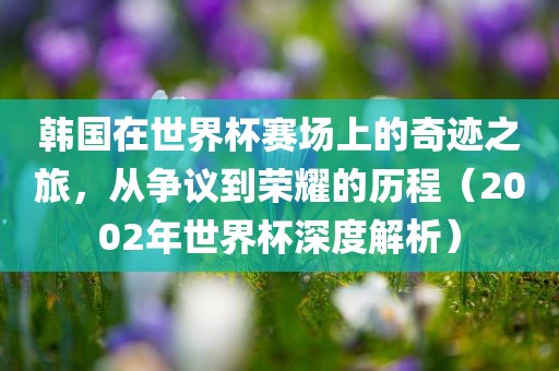 韩国在世界杯赛场上的奇迹之旅，从争议到荣耀的历程（2002年世界杯深度解析）