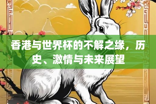 香港与世界杯的不解之缘，历史、激情与未来展望