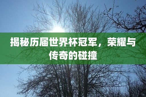 揭秘历届世界杯冠军，荣耀与传奇的碰撞