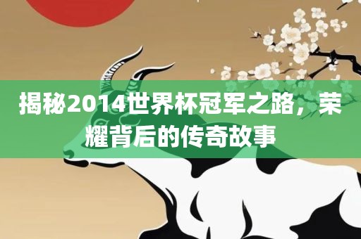 揭秘2014世界杯冠军之路，荣耀背后的传奇故事