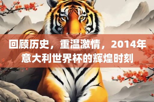 回顾历史，重温激情，2014年意大利世界杯的辉煌时刻