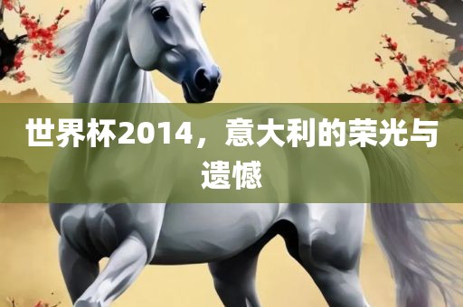世界杯2014，意大利的荣光与遗憾