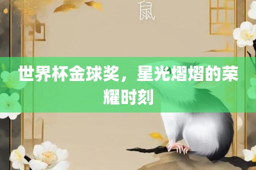 世界杯金球奖，星光熠熠的荣耀时刻