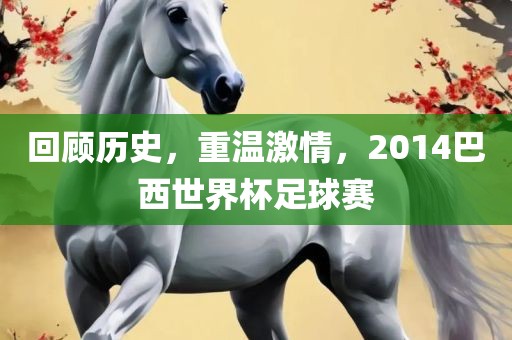 回顾历史，重温激情，2014巴西世界杯足球赛