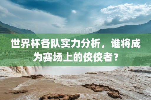 世界杯各队实力分析，谁将成为赛场上的佼佼者？