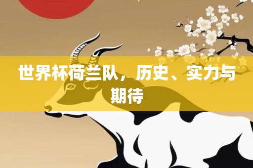 世界杯荷兰队，历史、实力与期待