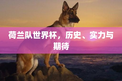 荷兰队世界杯，历史、实力与期待