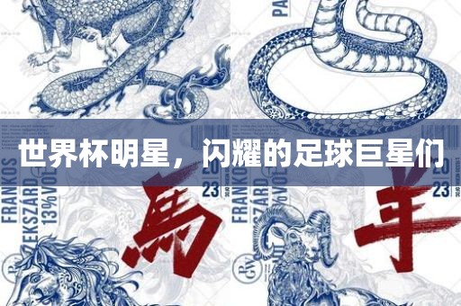 世界杯明星，闪耀的足球巨星们