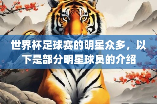 世界杯足球赛的明星众多，以下是部分明星球员的介绍
