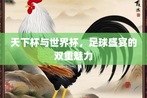 天下杯与世界杯，足球盛宴的双重魅力