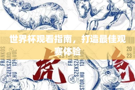 世界杯观看指南，打造最佳观赛体验