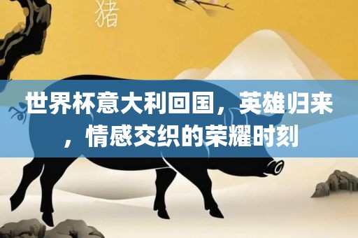 世界杯意大利回国，英雄归来，情感交织的荣耀时刻
