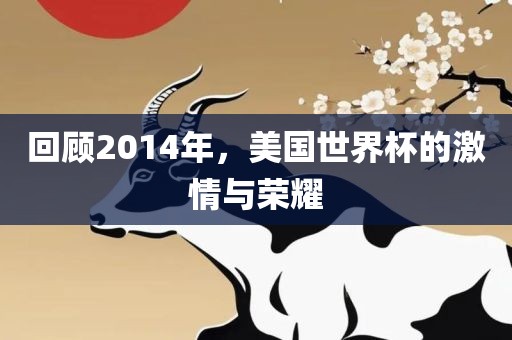 回顾2014年，美国世界杯的激情与荣耀