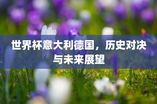 世界杯意大利德国，历史对决与未来展望
