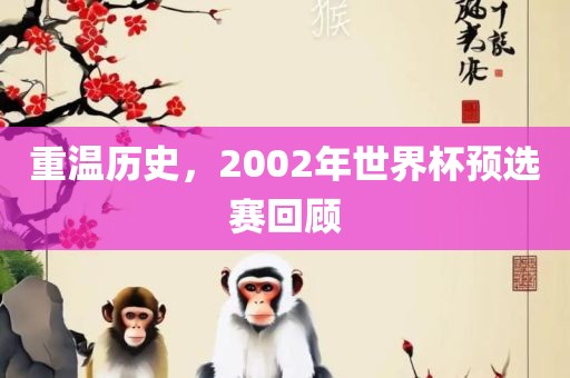 重温历史，2002年世界杯预选赛回顾